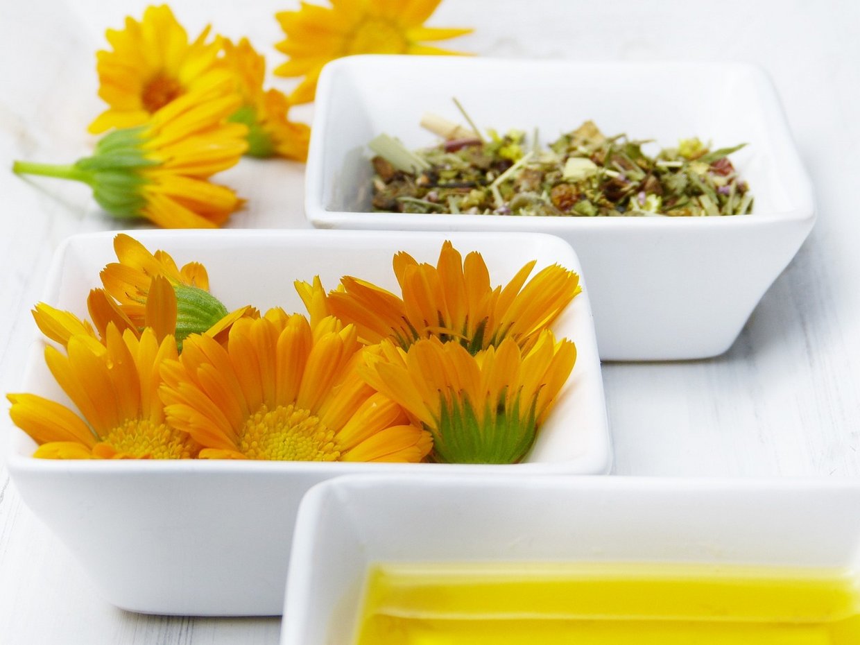 calendula bowl